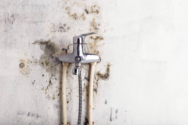 Best Post-Flood Mold Remediation in California, MD