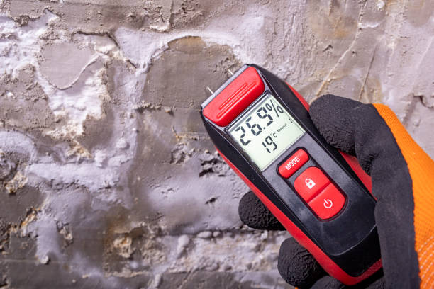 Best Mold Remediation for Specific Building Types in California, MD