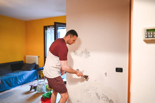 Best Industrial Mold Remediation in California, MD